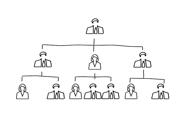 Organigramm Hierarchiestruktur