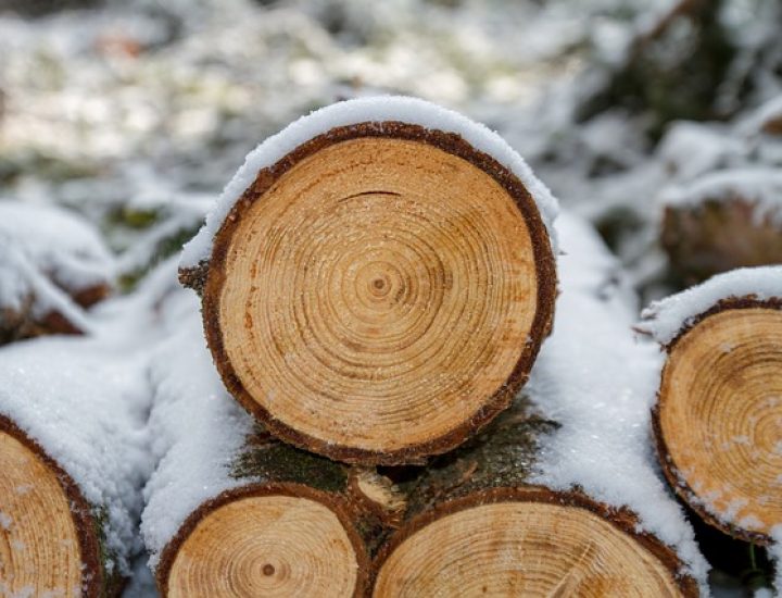 Review: Sägen von woodmizer.de / wood mizer